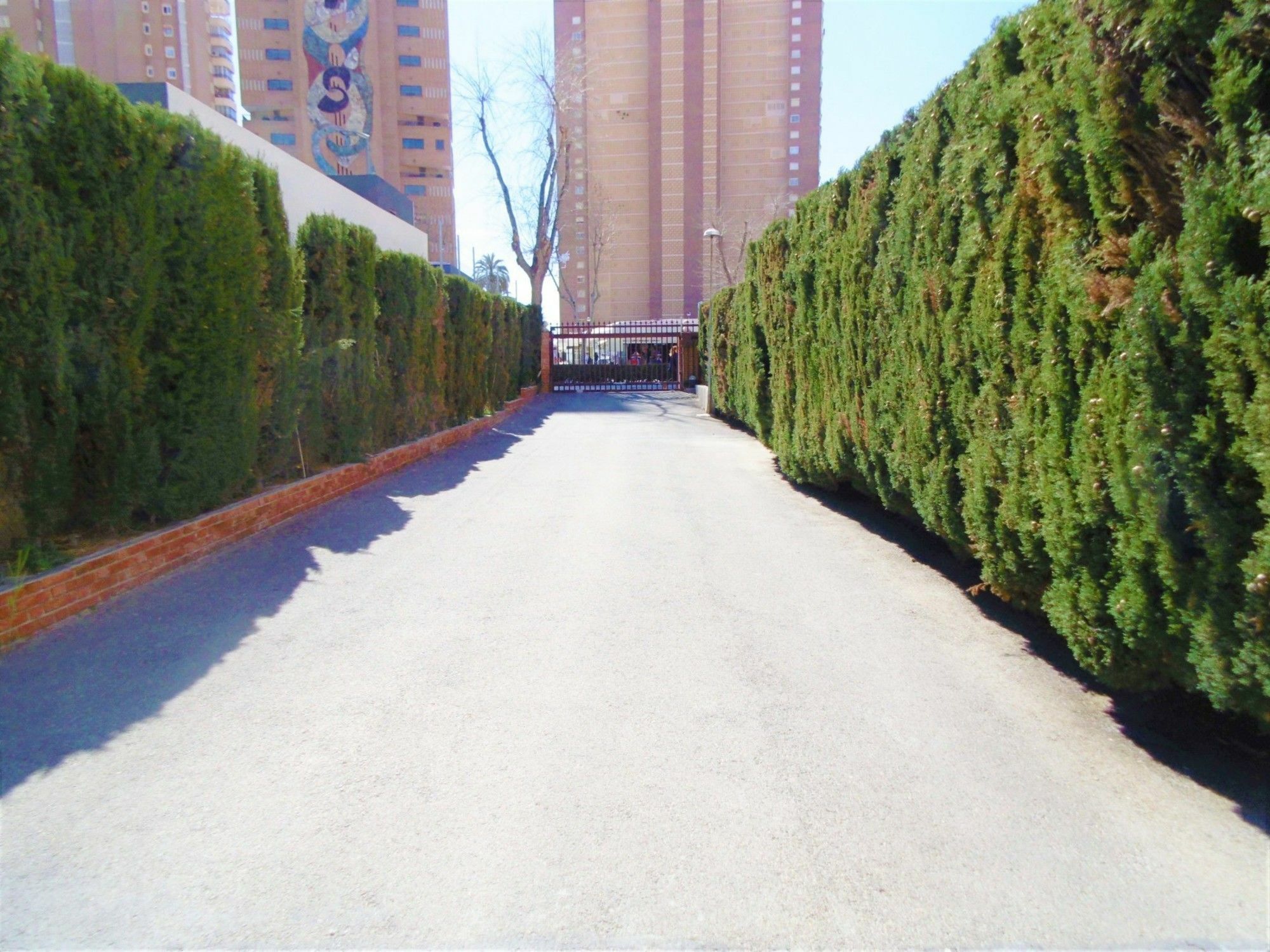 Edimar 2-3 Levante Apartamento *